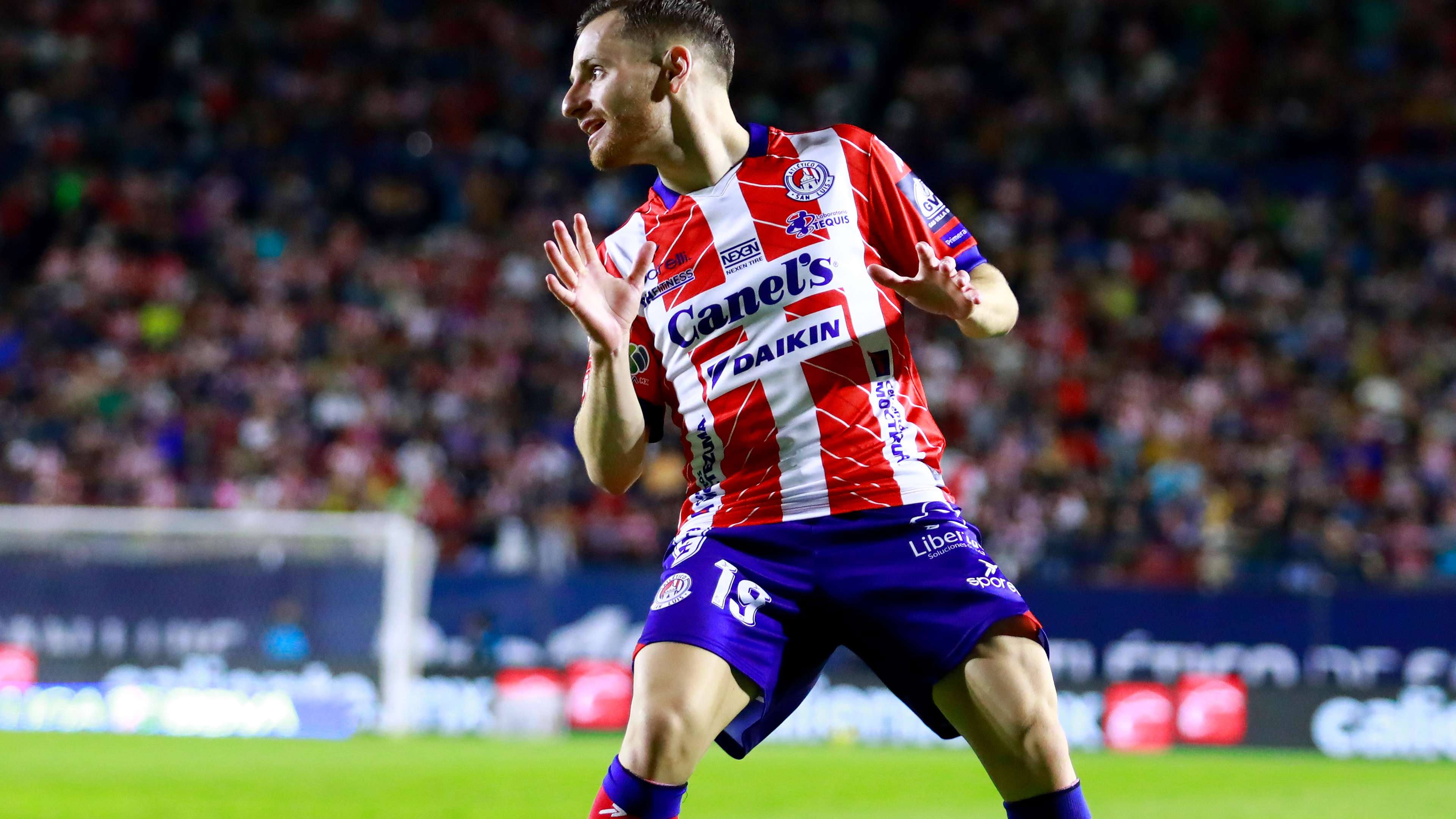 林诗栋展现 林诗栋展现